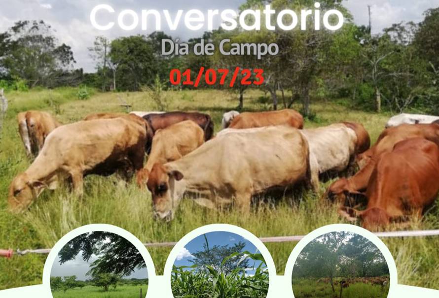 conversatorio-dia-campo