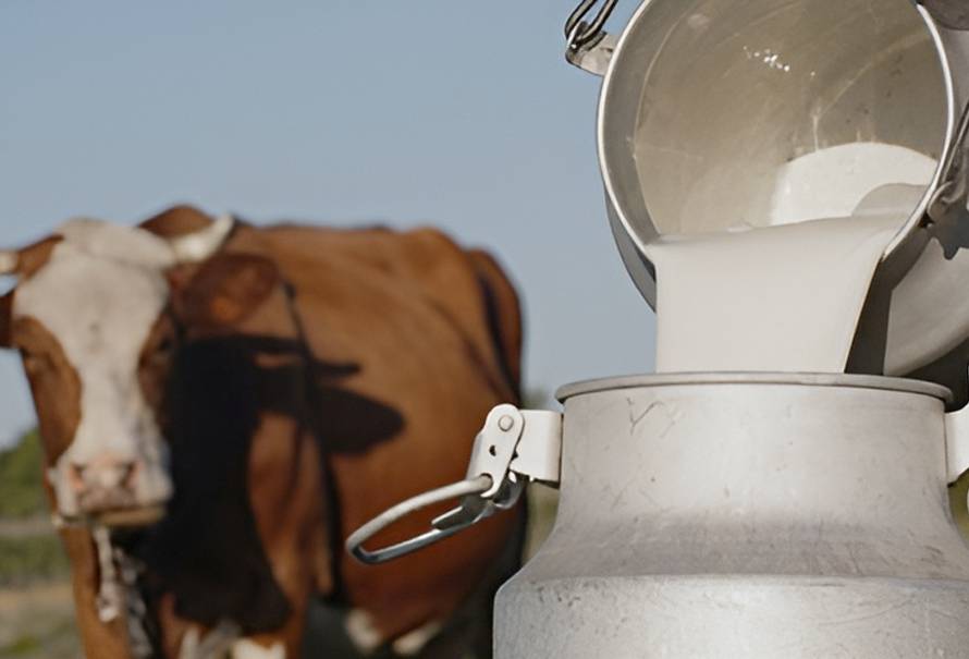 fuentes contaminacion leche cruda