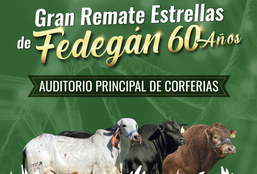 remate-estrellas-fedegan