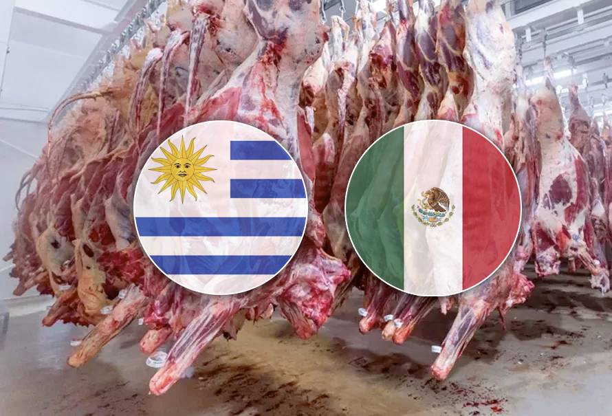 uruguay-exporta-carne-mexico