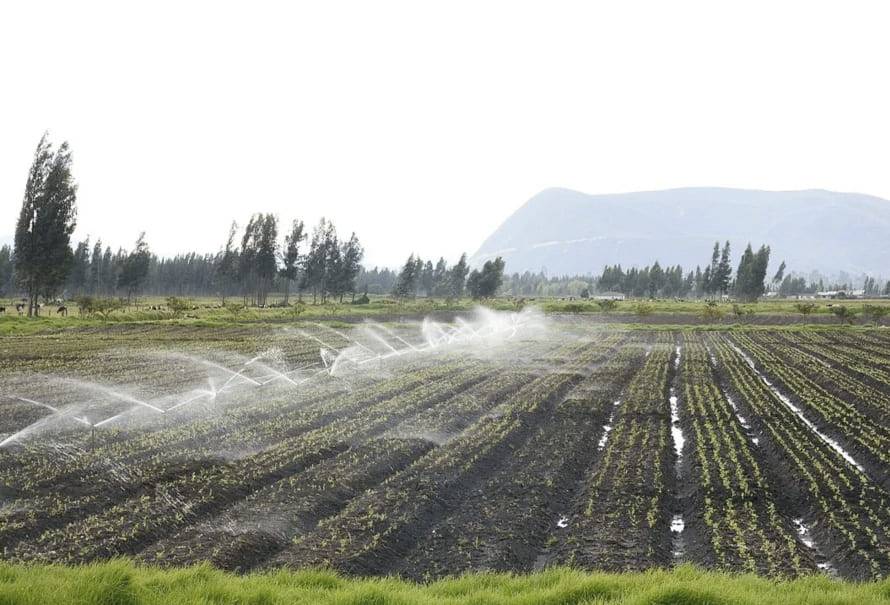 uso agua riego finca