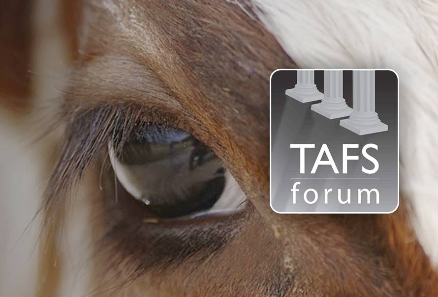 tafs-forum-propone-dejar-diferenciar-paises-libres-vacunacion-co-sin-vacuna