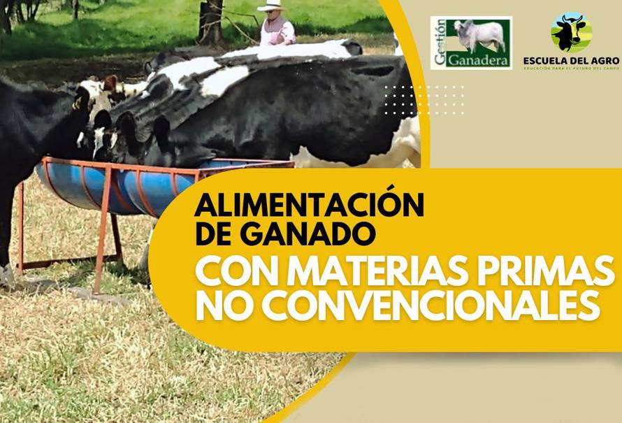 seminario-alimentacion-ganado-bovino