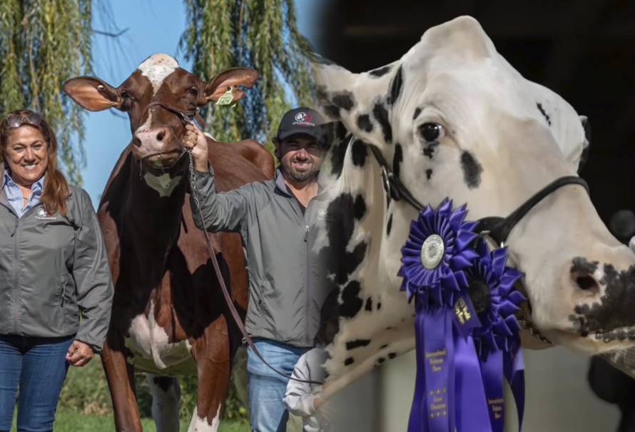 campeonas-World-Dairy-Expo