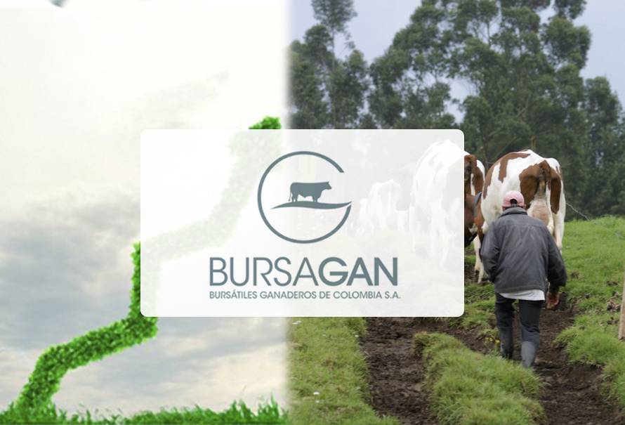 inversion-ganadera-bursagan