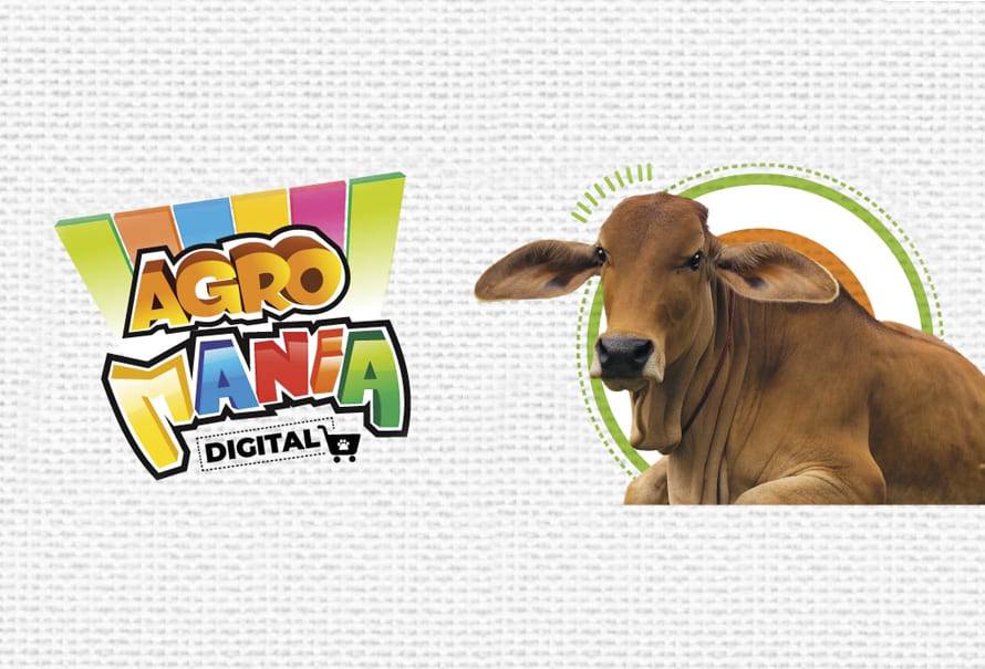 evento agrocampo ganadería