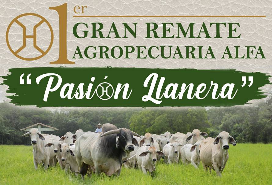 remate-pasion-llanera