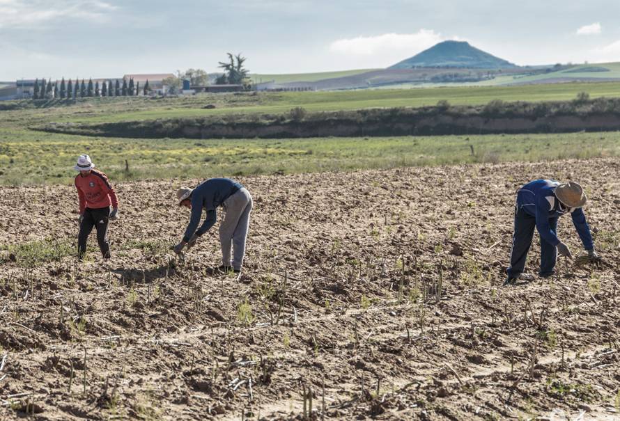 desempleo en el campo