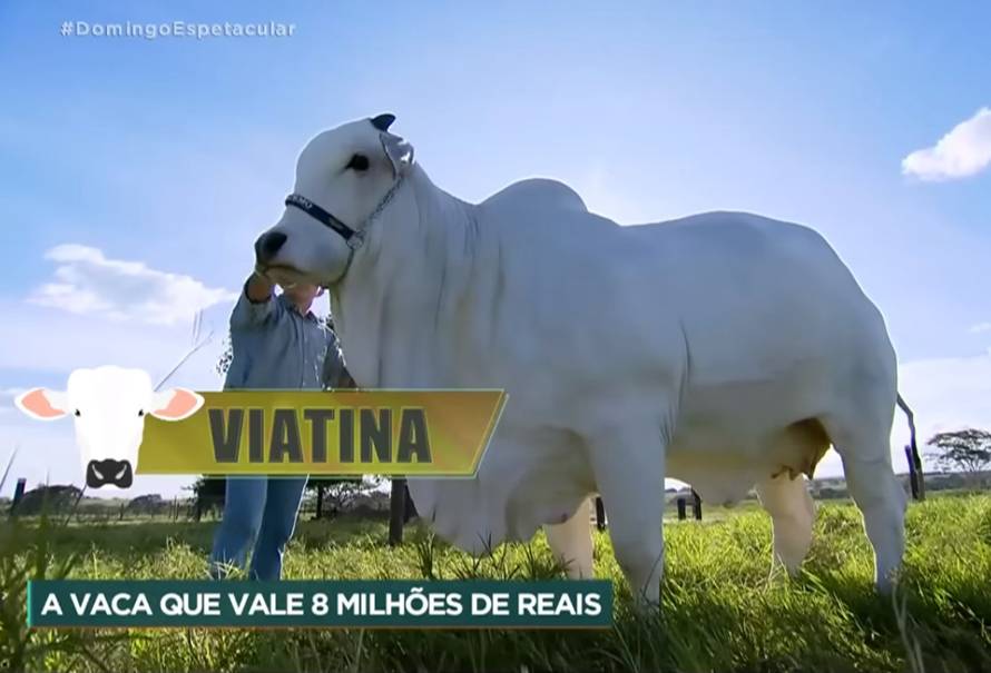 Viatina