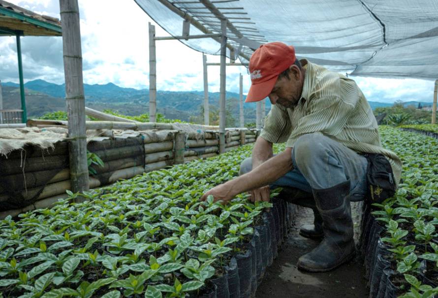 acuerdo-productividad-huila