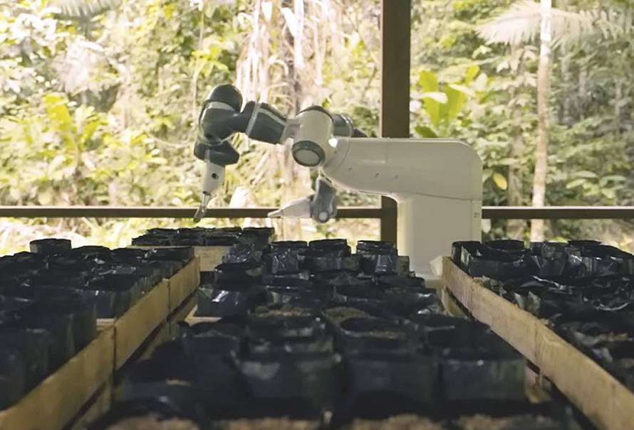 robot-reforesta