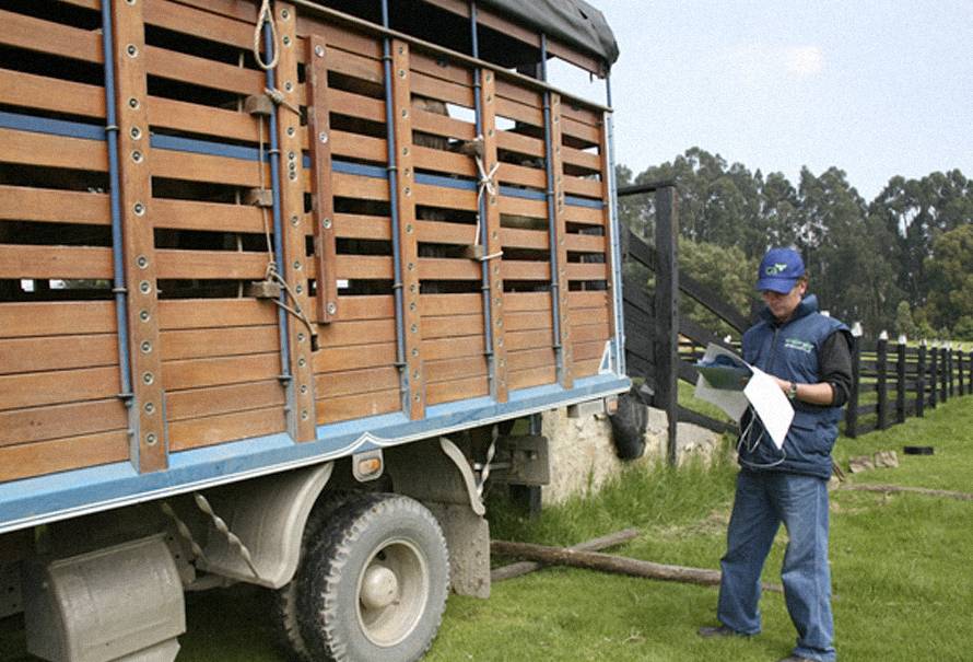 guias-movilizacion-ganado-ica