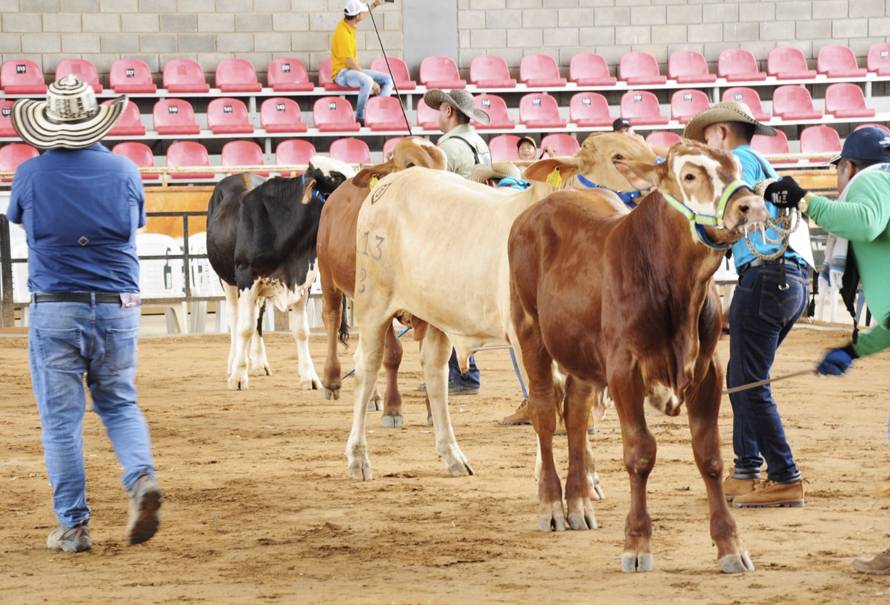 eventos-ganaderos-agosto