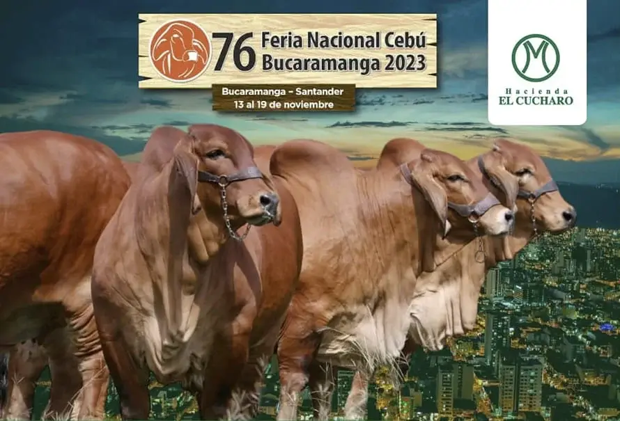 76-feria-nacional-cebu