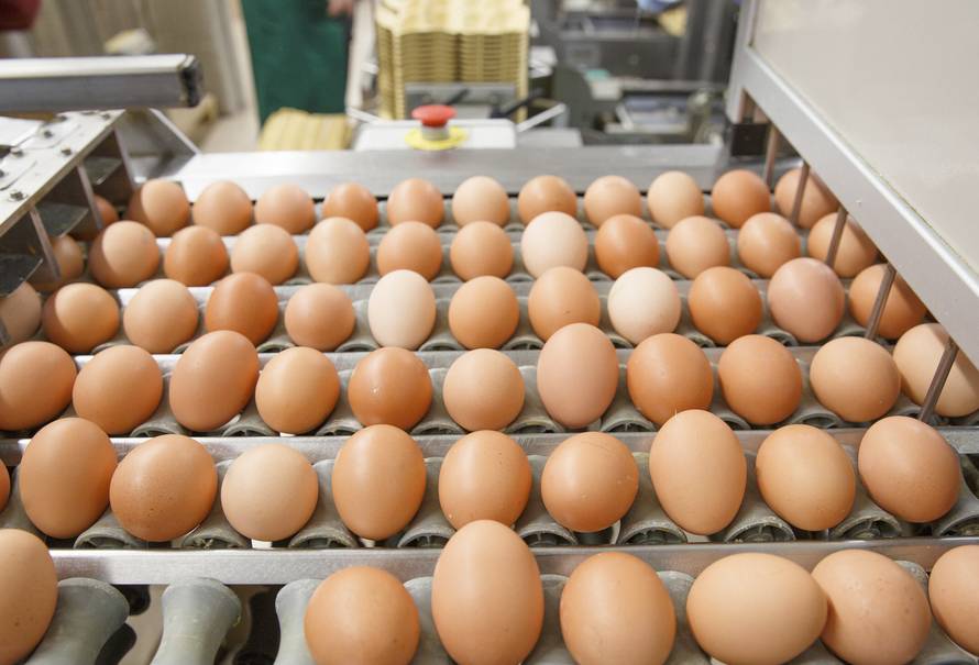 Colombia-espera-producir-17000-millones-huevos