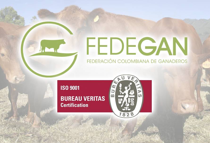 fedegan-recertificacion-iso-9001