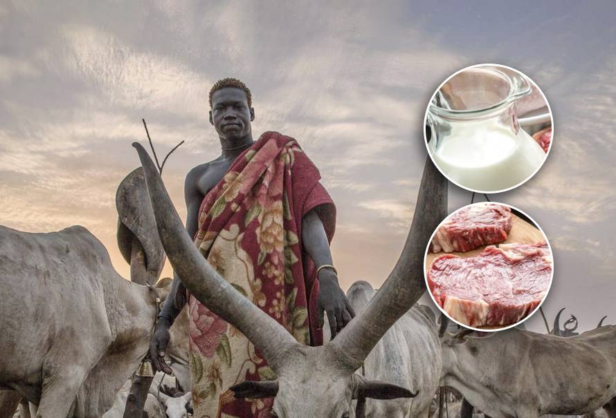Dieta-tribu-Dinka-carne-leche-humanos-mas-altos-mundo