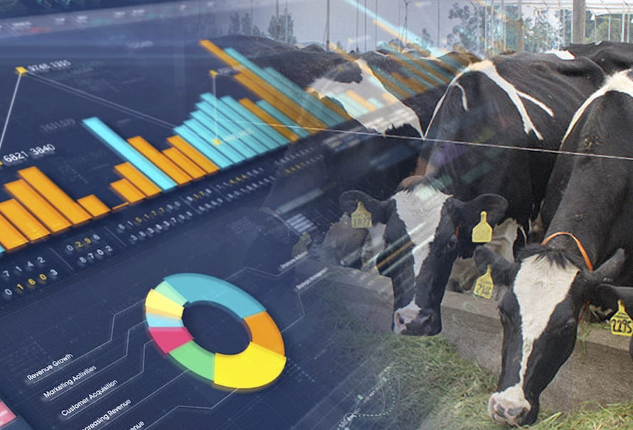 Cómo saber si sus datos son útiles para análisis de rentabilidad de la empresa ganadera I | CONtexto Ganadero