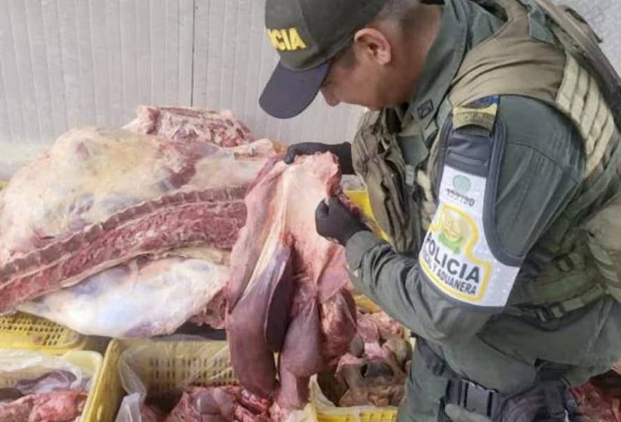 capturan banda operaba frontera venezuela contrabando carne