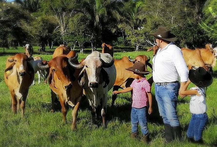 herencia generacional tierras es práctica sostenible