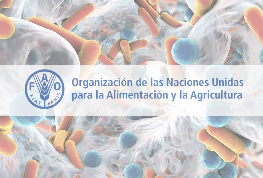 fao apoyo vigilancia antimicrobianos