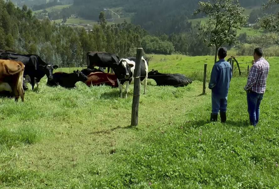 nuevas-tecnologias-pequenos-ganaderos