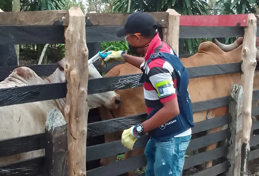 ciclo-vacunacion-guajira-cesar