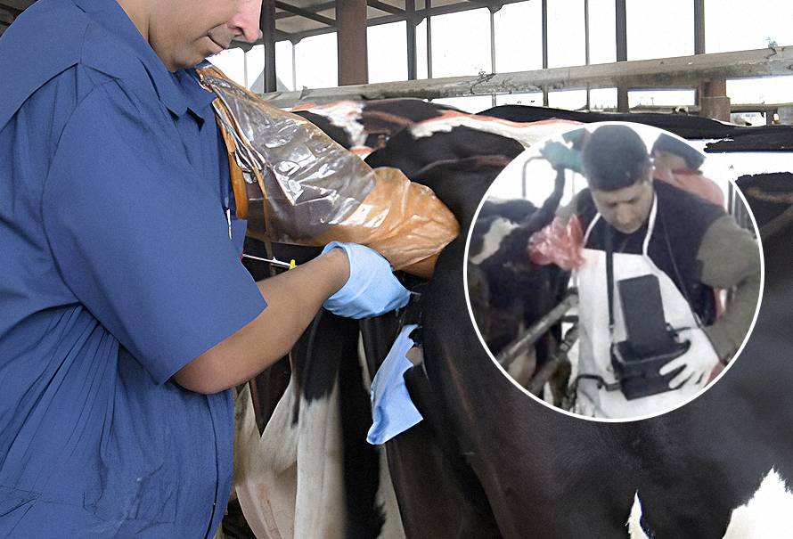 reportaje detección temprana preñez