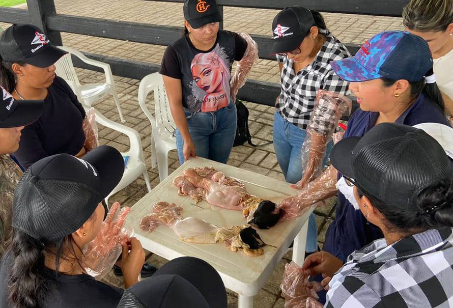 capacitacion de mujeres en antioquia