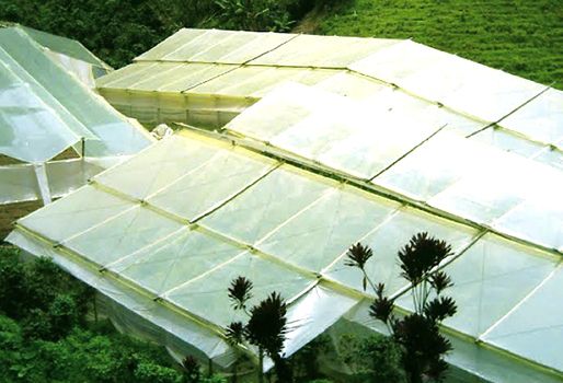 Agriquin y Asojulia recibieron la inversión $128 mil 160 millones para continuar con su labor. Foto: Agriquin. Empresas Agriquin y Asojulia en Quindío.