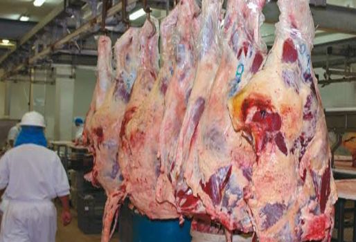 El municipio contará con un moderno centro de faenado y así le harán frente al sacrificio ilegal que prolifera en Suaza. Foto: CONtexto Ganadero. Planta de Sacrificio