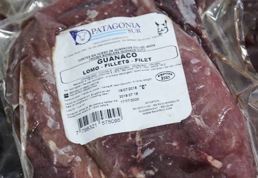 Argentina, guanaco, Argentina exporta por primera vez carne de guanaco, el guanaco un recurso natural no explorado, cadenas de valor, carne, cuero, fibra, Macri, Luis Miguel Etchevehere, Ganadería, ganadería colombiana, noticias ganaderas, noticias ganaderas Colombia, CONtexto ganadero