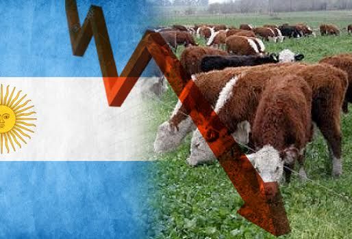 argentina carne descenso