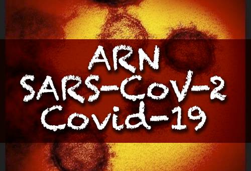 Ganadería, ganadería colombia, noticias ganaderas, noticias ganaderas colombia, CONtexto ganadero, coronavirus, COVID-19, términos coronavirus, SARS-CoV-2, nCov-19, Coronavirus 2020, coronavirus Colombia, ácido ribonucleico, ARN, virus ARN, coronavirus ARN, Alfredo Miroli, explicación sobre el coronavirus, coronavirus pánico, coronavirus grave