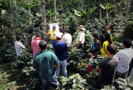 Capacitación a caficultores 