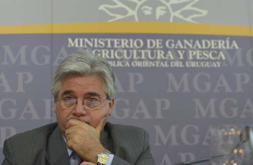 Uruguay, Uruguay Tabaré Aguerre, Tabaré Aguerre: conciencia agropecuaria, CONtexto ganadero, ganadería Colombia