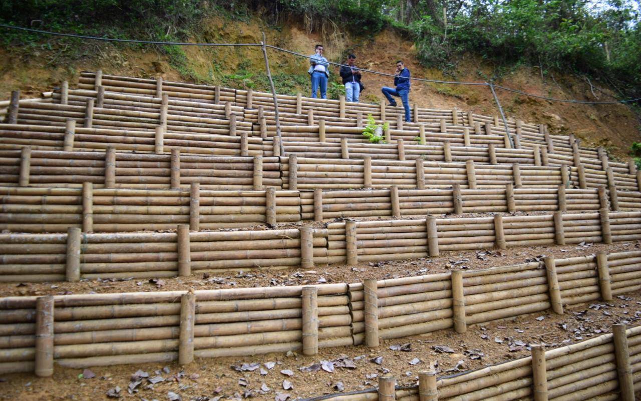 ganadería, ganadería colombia, noticias ganaderas, noticias ganaderas colombia, contexto ganadero, secretaría de Agricultura, secretaría de Aguas, secretaría de Infraestructura del Quindío, Unidad Departamental para la Gestión Del Riesgo de Desastres, UDEGERD, Corporación Autónoma Regional del Quindío, CRQ, Comité de Cafeteros, Desarrollo Rural Sostenible, Juliana Acosta Jaramillo, Pijao, Calarcá, Salento, Cocora, Infraestructura Vial y Social, secretaría de Aguas e Infraestructura del Quindío, taludes, tal