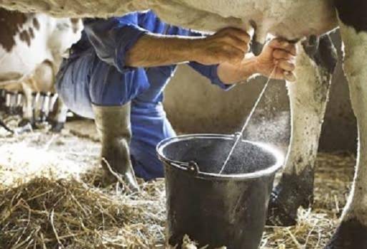 Incremento del precio del dólar, altos costos de insumos, altos costos ganaderos, ascuas, incremento de tasa de cambio, aumento del precio pagado al productor, COVID 19, difícil coyuntura, aumento de consumo de leche, noticias de ganadería colombiana, CONtexto ganadero.