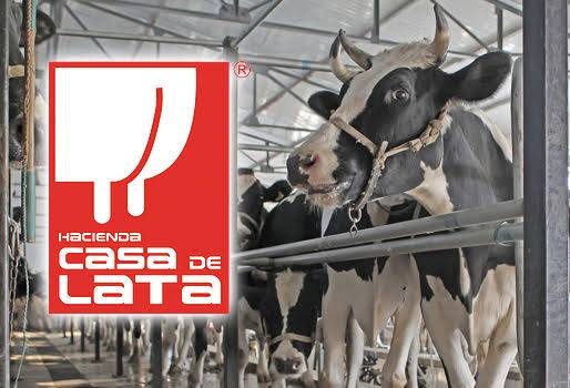 Competitividad vial en Chiquinquirá, Gobierno no cumplió compromisos, doble calzada Bogotá- Chiquinquirá en veremos, responsabilidad del Estado, Hacienda Casa de Lata, Javier Ardila, invirtió $6 millones en 2016 para vía alterna, alcaldía de Chiquinquirá dice que no hay recursos, hace mantenimiento de vía Chiquinquirá vereda Córdoba,  CONtexto Ganadero, noticias de ganadería colombiana.