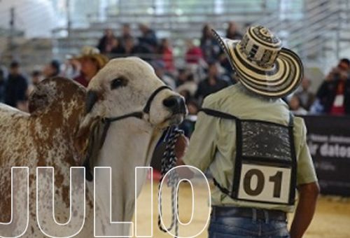 ferias ganaderas en julio de 2022