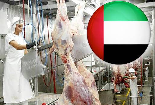 Emiratos Árabes carne colombiana, Emiratos Árabes carne colombiana noticias, Emiratos Árabes carne colombiana cifras, Emiratos Árabes carne colombiana plantas, fedegán Emiratos Árabes carne colombiana, CONtexto ganadero