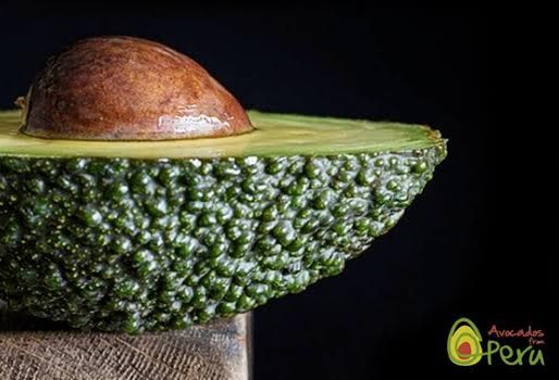 VIII Congreso Mundial de Aguacate