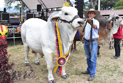 54 Feria Agropecuaria e Industrial de Ibagué