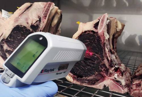 Calibrador para carne madurada