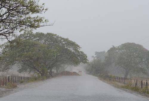 Ganadería, ganadería colombia, noticias ganaderas, noticias ganaderas colombia, CONtexto ganadero, productores de La Guajira, La guaira, Ganaderos de La Guajira, verano en La Guajira, invierno en la guajira, lluvias en la guajira, preparación de alimentos en la guajira