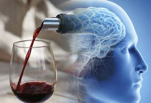 vino