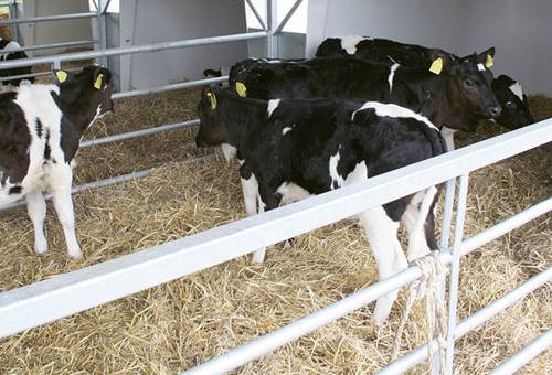 Ganadería, ganadería colombia, Ganadería colombiana, CONtexto ganadero, noticias ganaderas, noticias ganaderas colombia, mobile milk express, dispensador de leche, leche, dispensador movil leche, ganaderos, ganaderos colombia