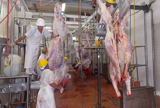 Coronavirus, covid, 19, industria cárnica, impactos en la industria cárnica, consumo de carne, demanda de carne, empelo, desempleo, bioseguridad, noticias ganaderas de colombia,
