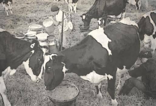 situación de la leche en santander freskaleche