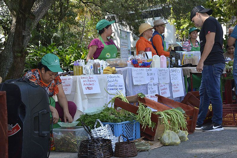 Ganadería, ganadería colombia, noticias ganaderas, noticias ganaderas colombia, CONtexto ganadero, mercados agroecológicos, unal, unal sede palmira, mercados campesinos, alimentos saludables, canastas agroecológicas, 